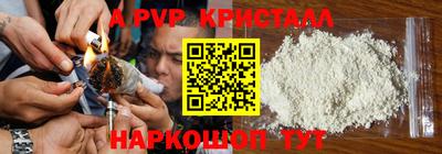ECSTASY Можга