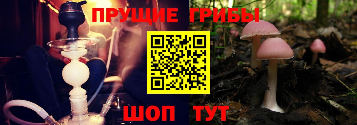 Пыть-Ях  купить закладку  Вход с VPN  Галлюциногенные грибы ЛСД 